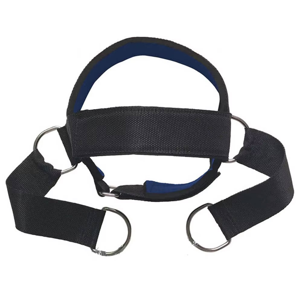 Padded Head Harness for Maximum Comfort