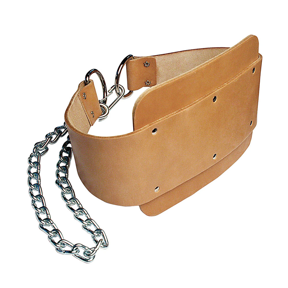 Grade Dip Belt with Secure Carabiner